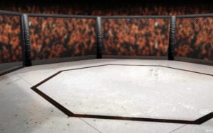 UFC Octagonal ring