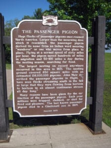 Commemorative plate to the passenger pigeon