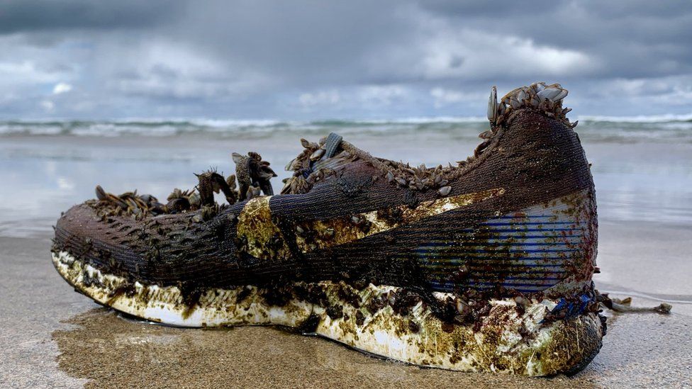 Shoes washed up on Shore