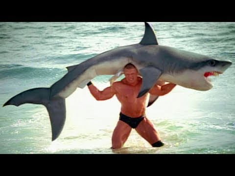 Real or Fake Image of a Shark being lifted?