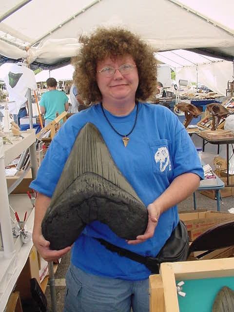 Megalodon Tooth Found. Real or Fake?