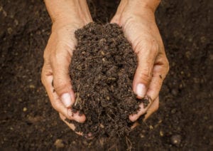 Preparing the Soil