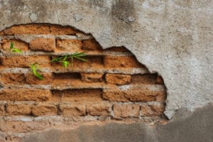 Damaged Garden Wall