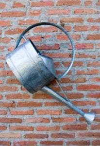 Watering can on wall