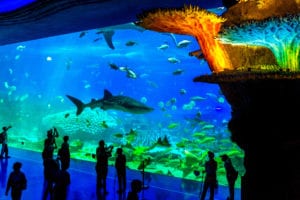 Chimelong Ocean Kingdom