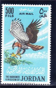 Spizaetus ornatus