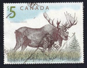 Canada Moose Stamp Used