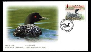 Common Loon