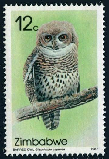 Zimbabwe 12c Barred Owl (Glaucidium Capense)