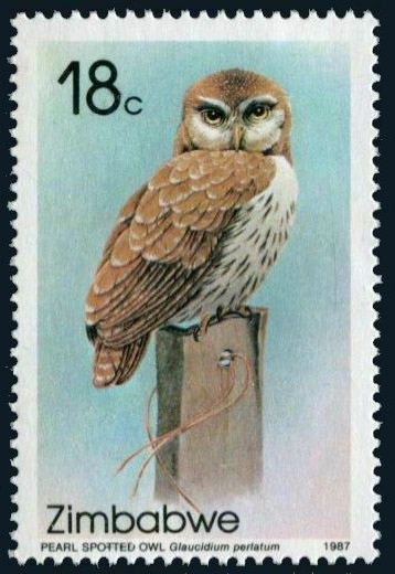Zimbabwe Stamp Pearl Spotted Owl Glaucidium Perlatum