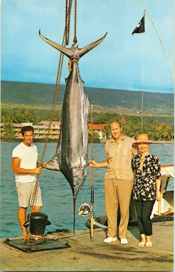 Postcard of a Marlin 