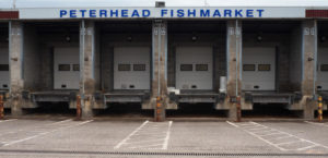 Peterhead Fish market