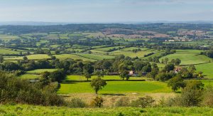 Honiton A Typical View