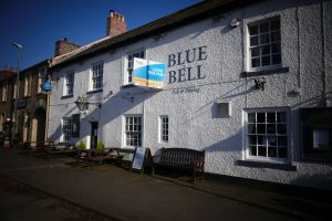 Blue bell in Dalston, Cumbria