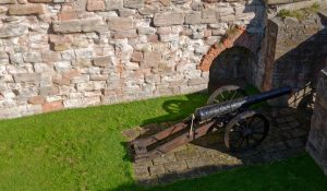 BBerwick Cannon Ramparts