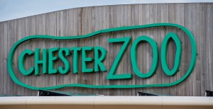 Chester zoo