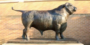 Oxford Bull statue