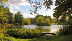 Ball Grove Park Colne