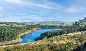 Entwistle Reservoir