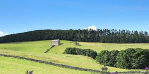 View Near Dacre Cumbria