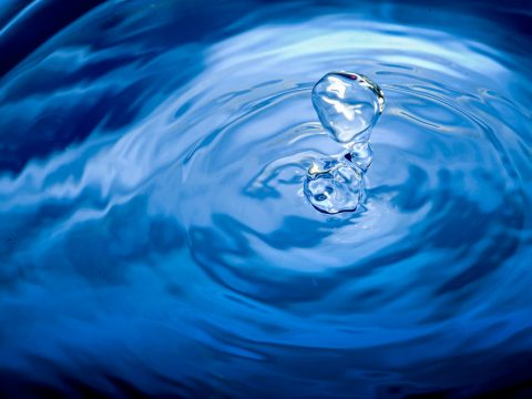 Which water sign are you?