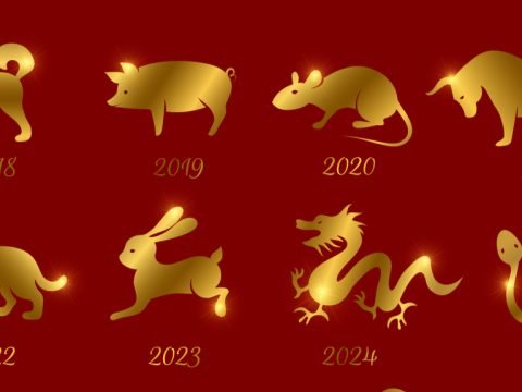 Chinese New Year Animals