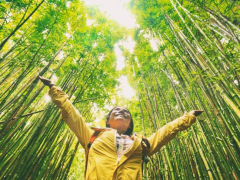 Happiness: How Satisfied Are You With your Life?