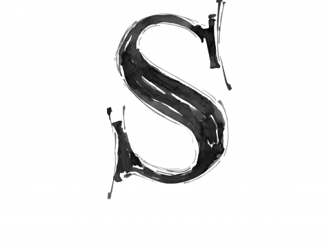 The Letter ‘S’ Quiz
