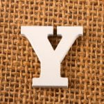 The Letter 'Y' Quiz