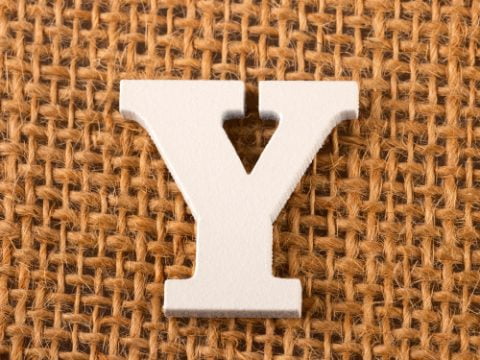 The Letter ‘Y’ Quiz