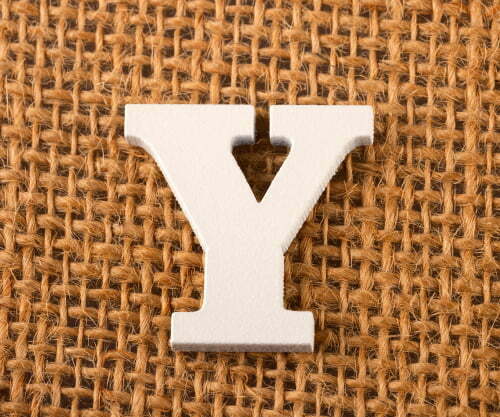 The Letter ‘Y’ Quiz