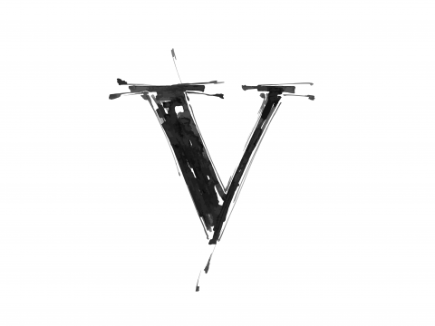 The Letter ‘V’ Quiz