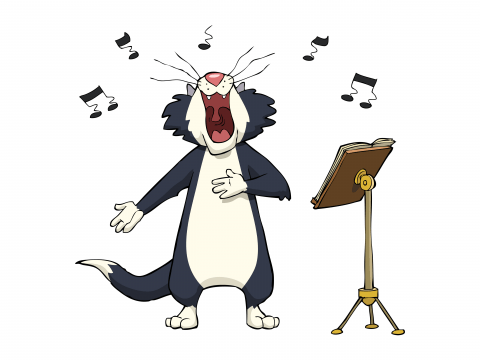 The ‘Animals in Song’ Quiz!