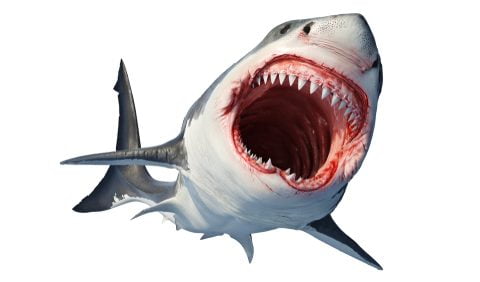 The Classic Film Quiz: Jaws