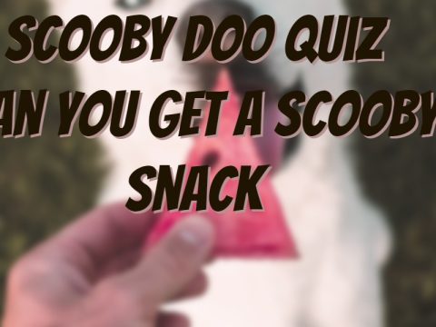 Scooby Doo Quiz Can You Earn A Scooby Snack?