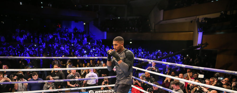 April 2019… Joshua v Wilder?