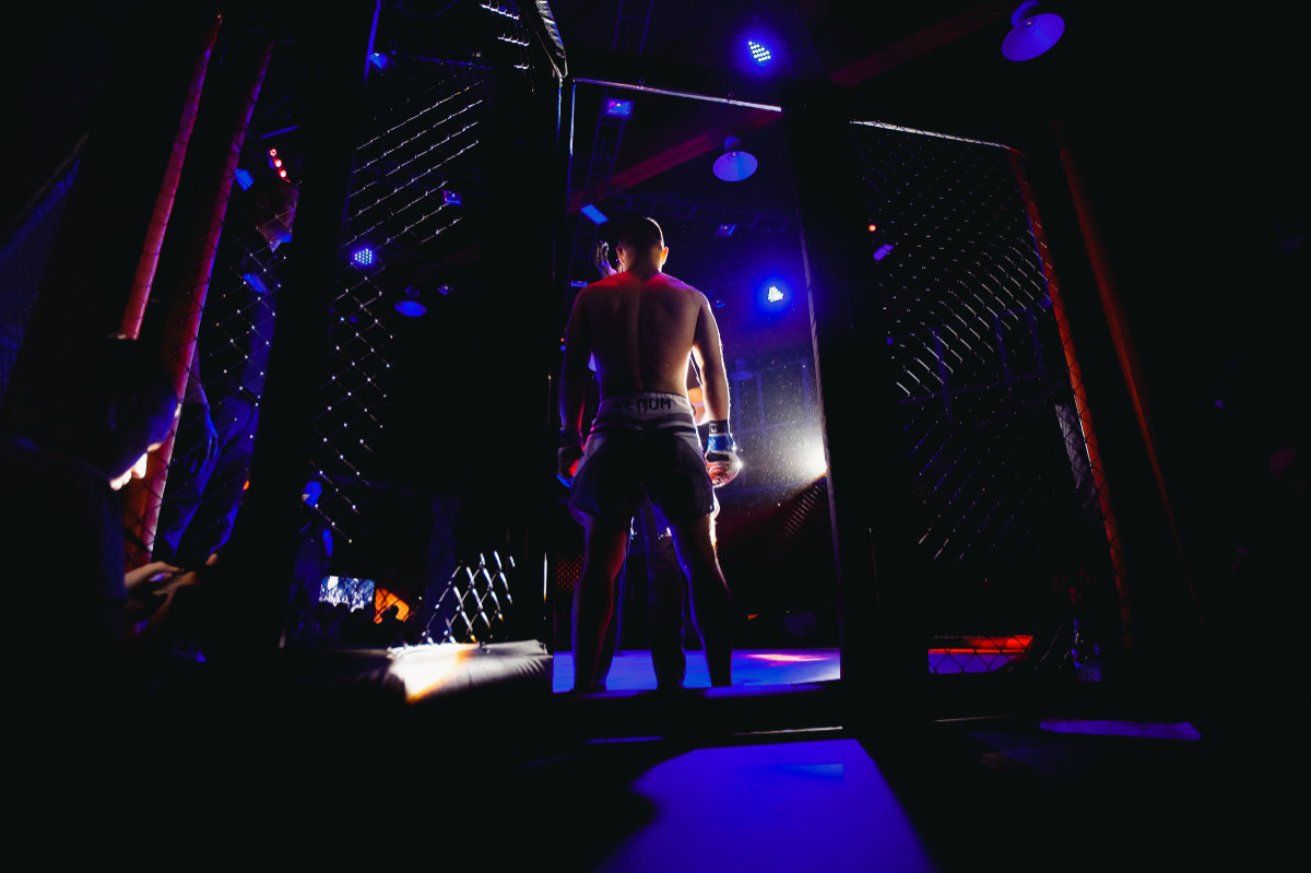 UFC Fight Night – de Randamie vs Ladd