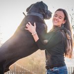 Great Dane – The Gentle Giant Of The Dog World