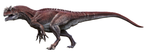 Allosaurus