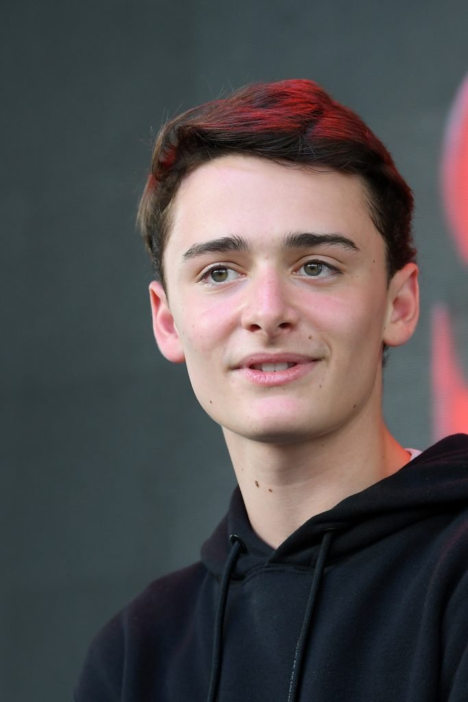 Noah Schnapp Twin Brother