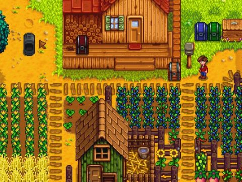 Stardew Valley! First Summer!