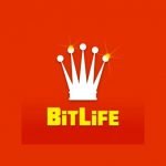 BitLife Games Review!