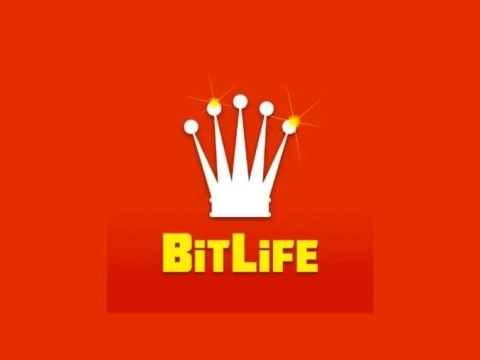 BitLife Games Review!