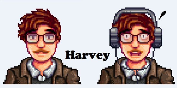 Stardew Valley: Harvey Biogarphy