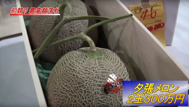 What Are Japanese Melons?