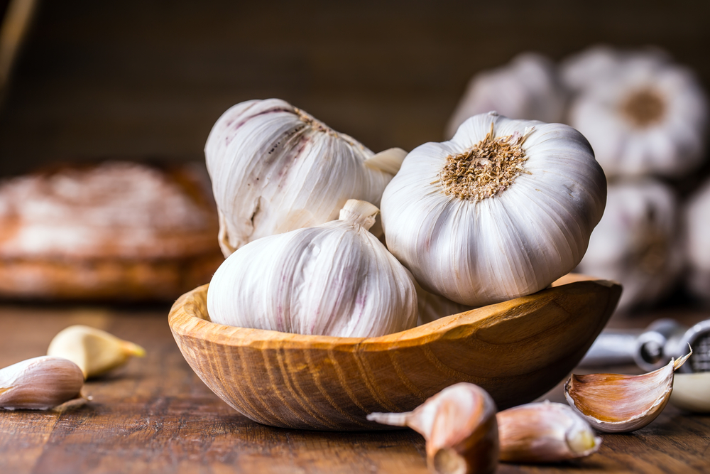 What Does Garlic Go Well With?