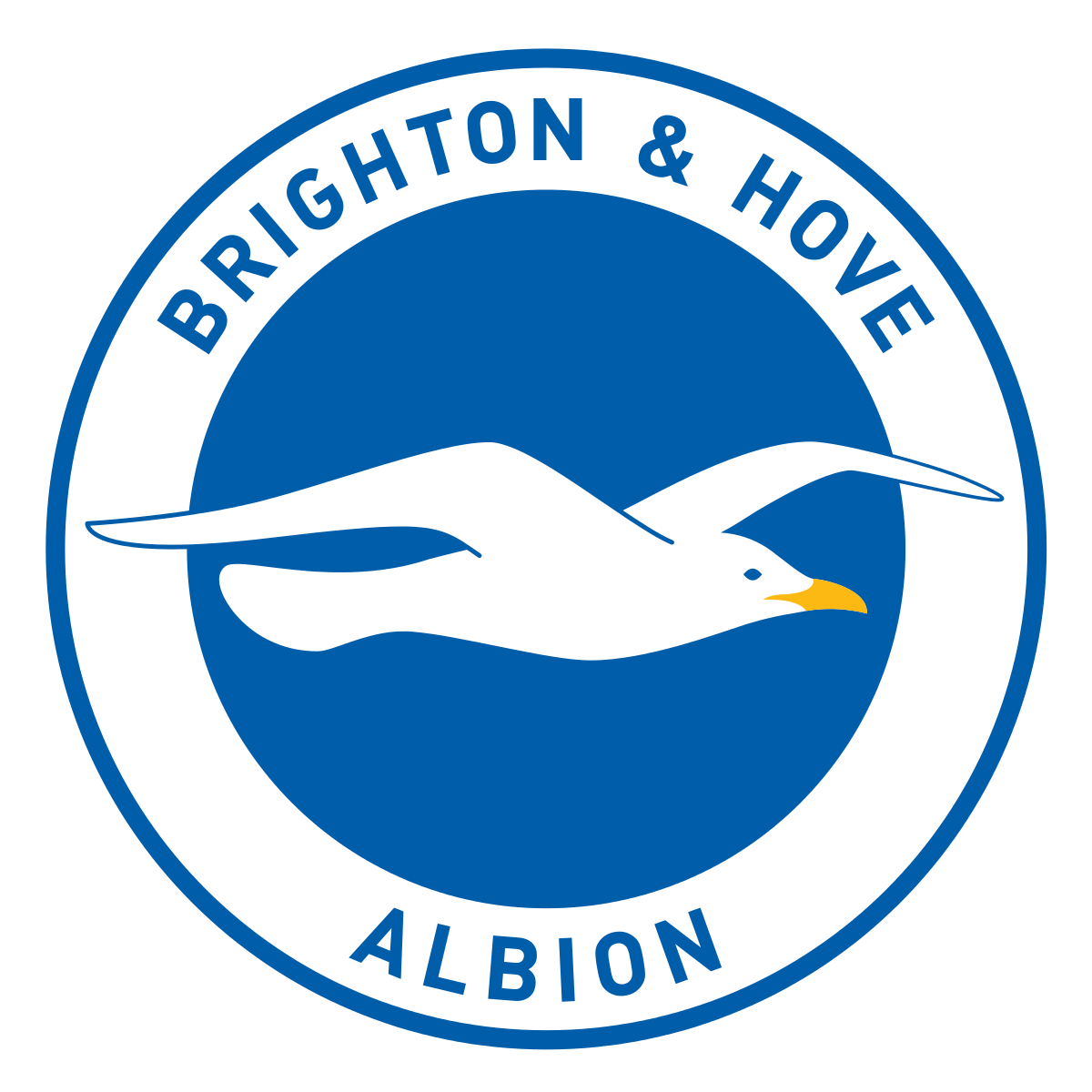 Brighton and Hove Albion