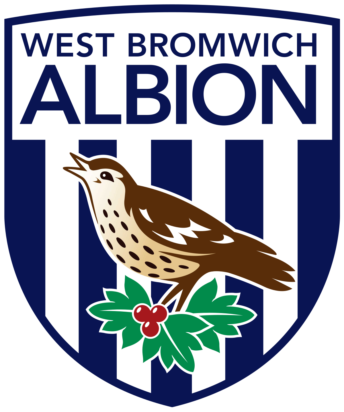 West Bromwich Albion F.C