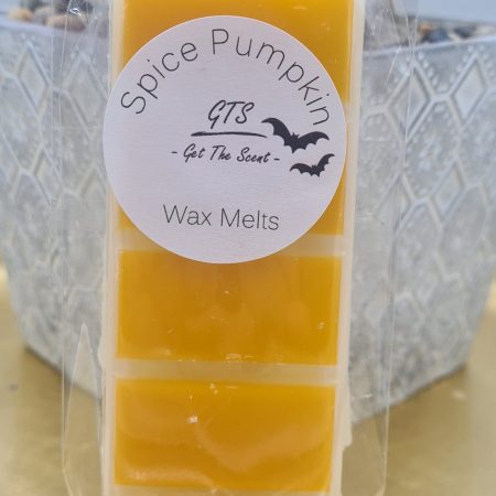 Spice Pumpkin- Wax Melt