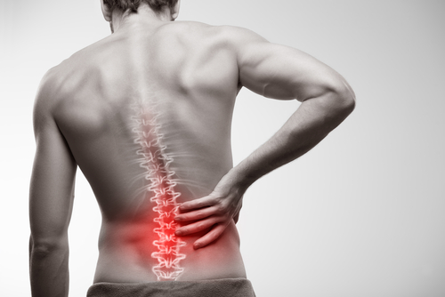 5 Exercises to Help Your Lower Back Pain!